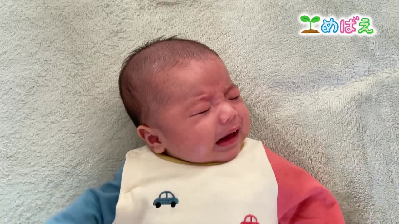 11月4日西田充希くん