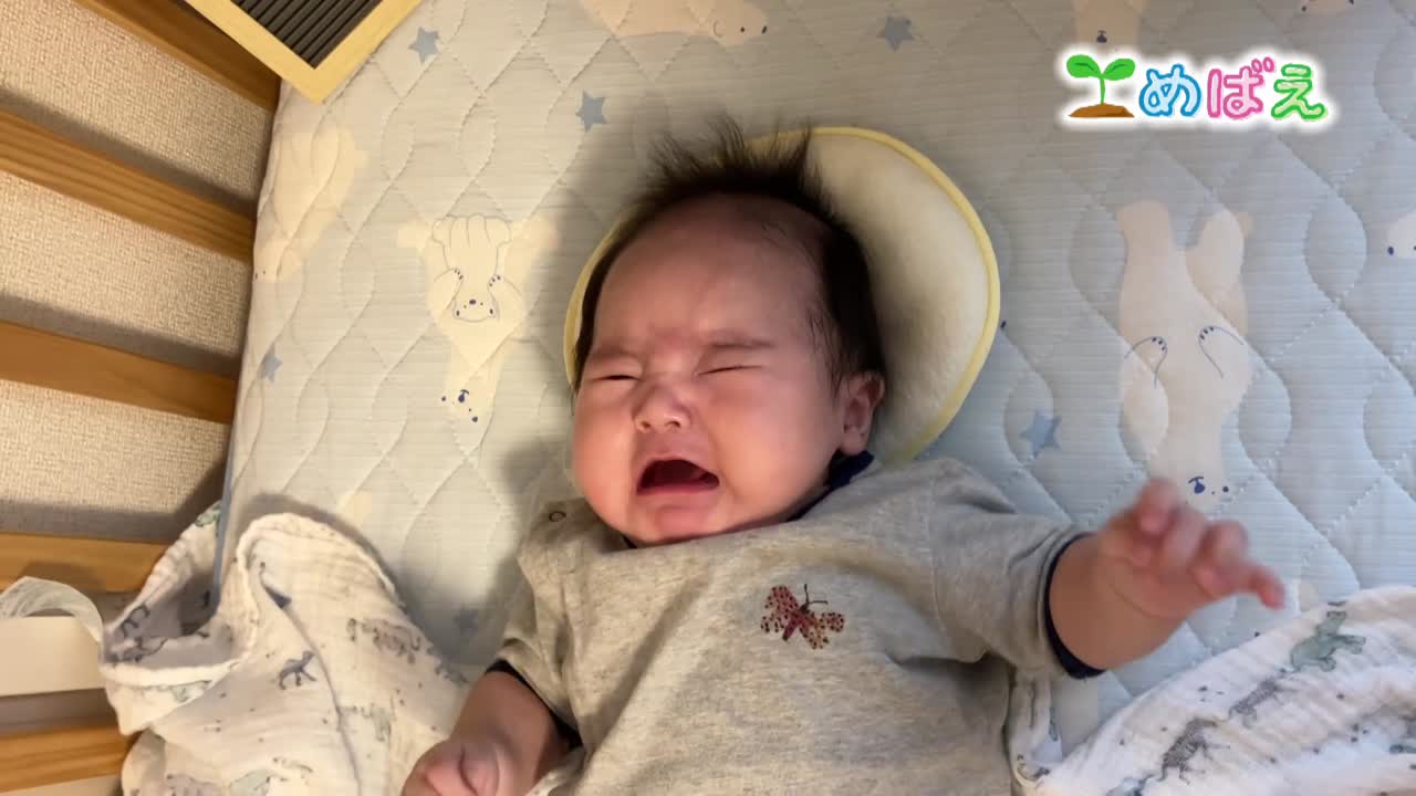 11月24日貝野光紀くん