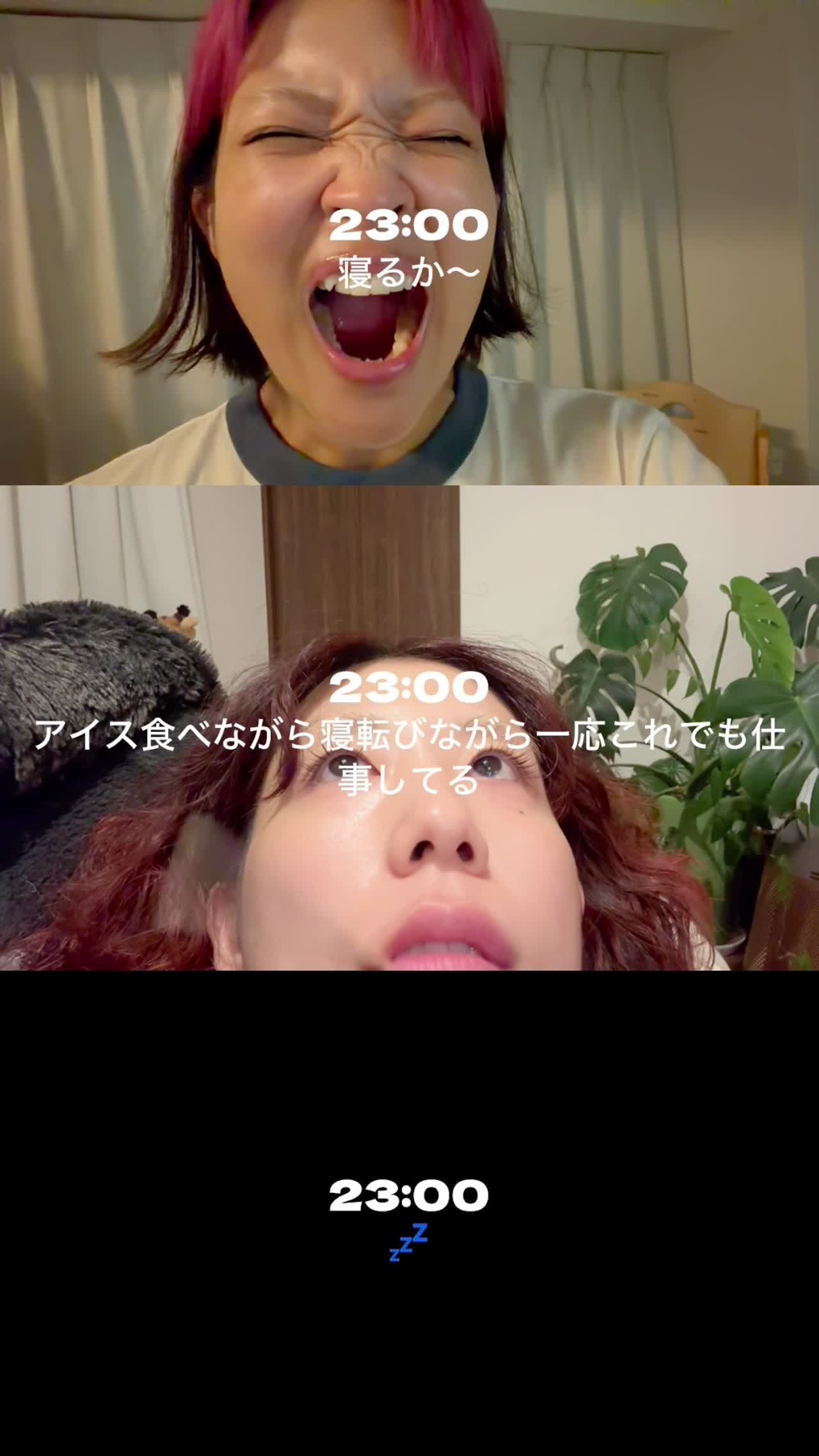 Hump Backのsetlog 10