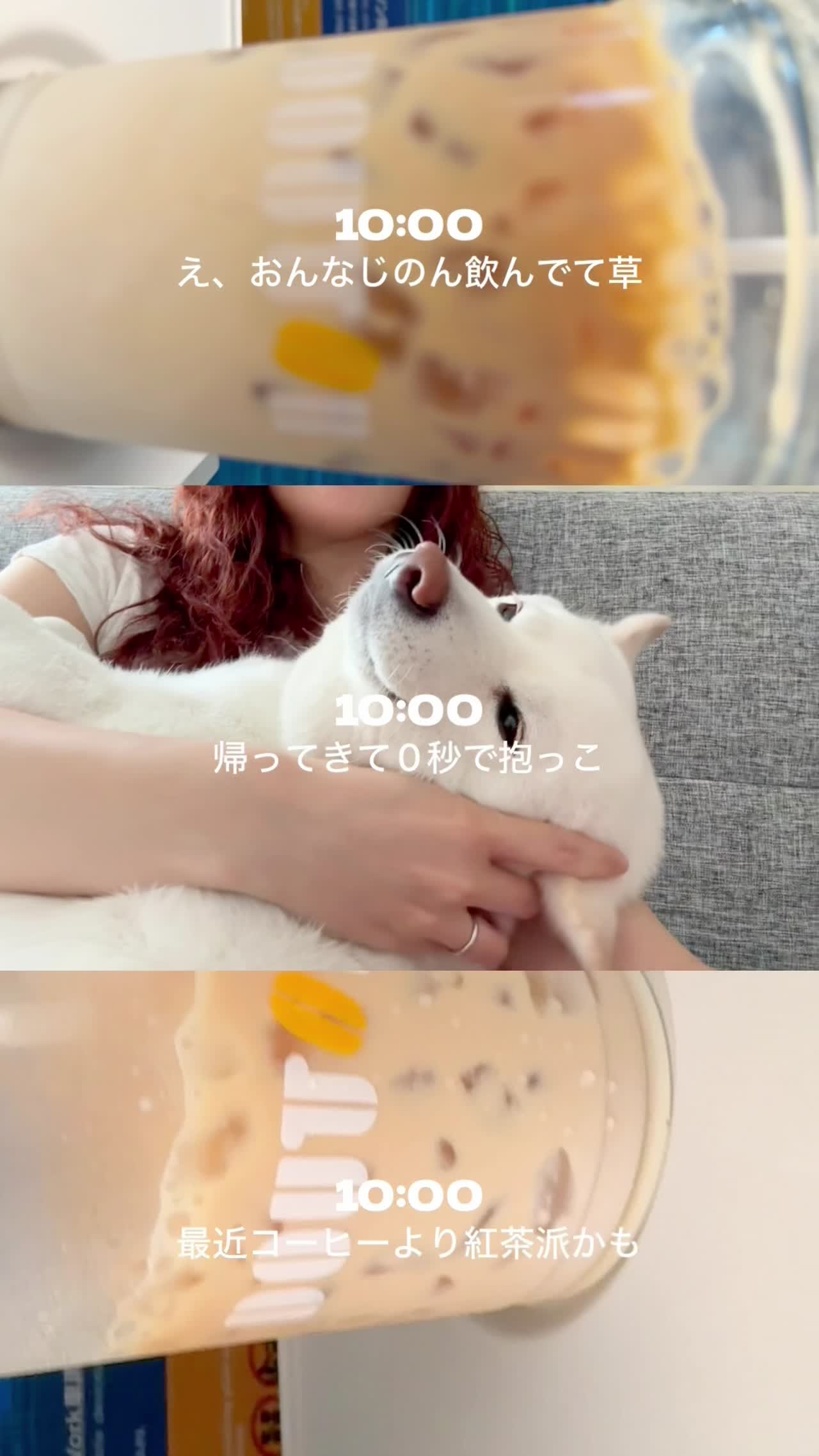 Hump Backのsetlog 12
