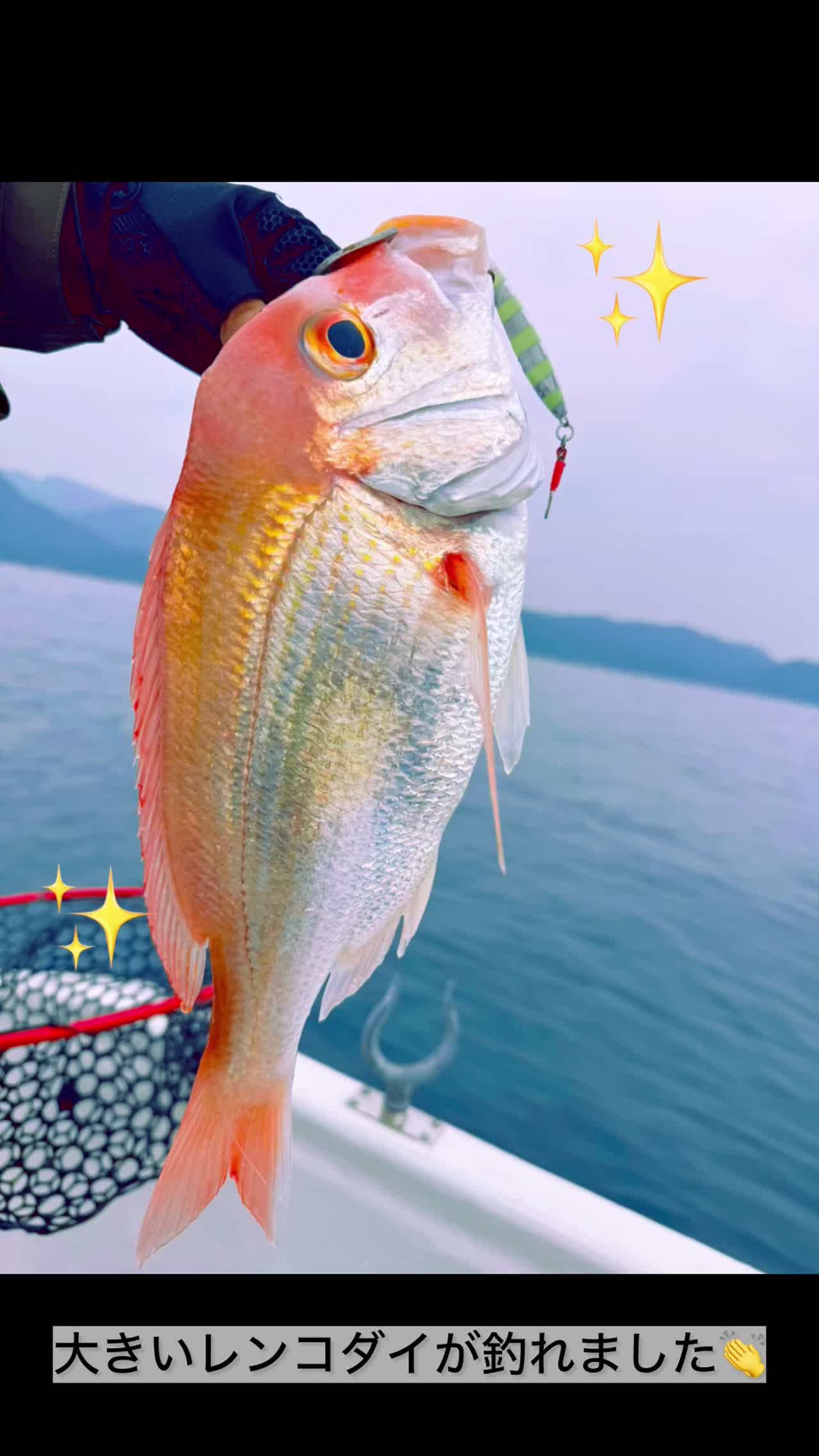 美咲の釣り休日