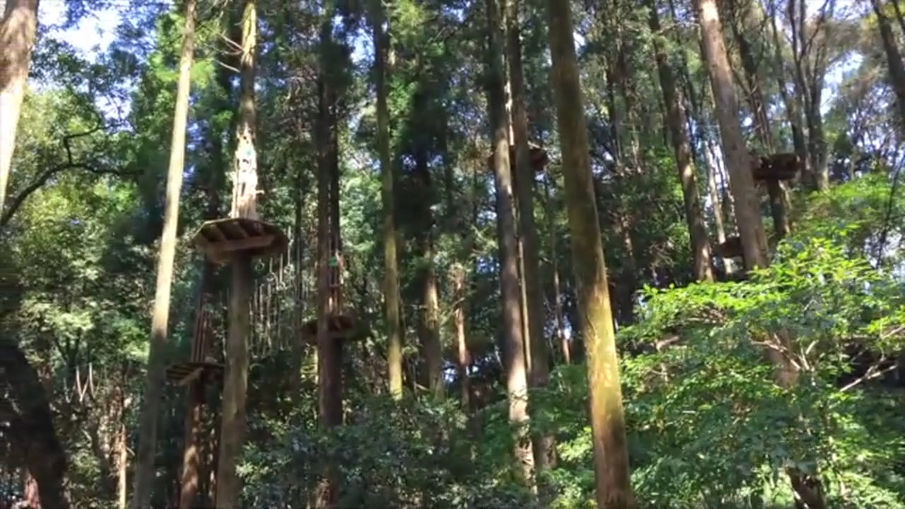 219ecb06-2f3e-4f31-a665-ba92a14cb476-1724097973074