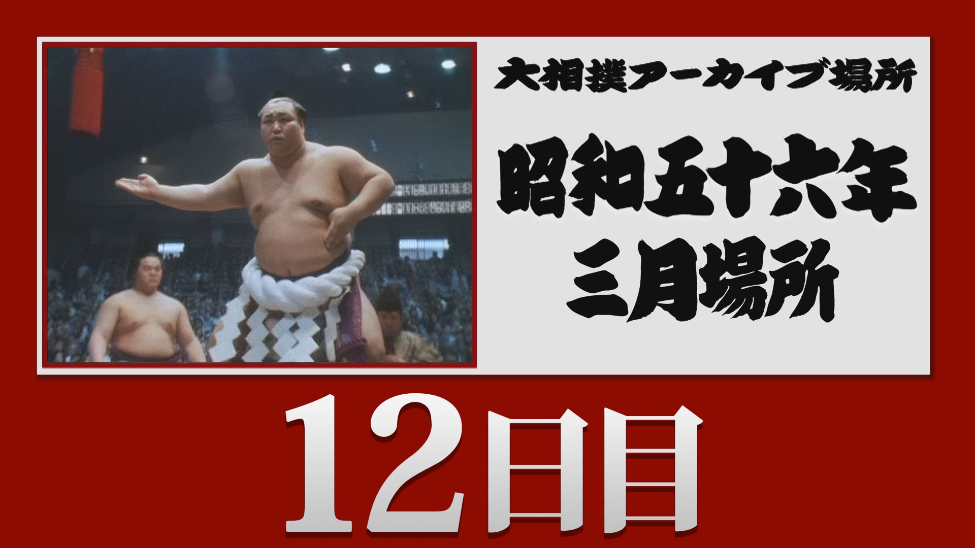 会員限定エリア | 大相撲公式ファンクラブ