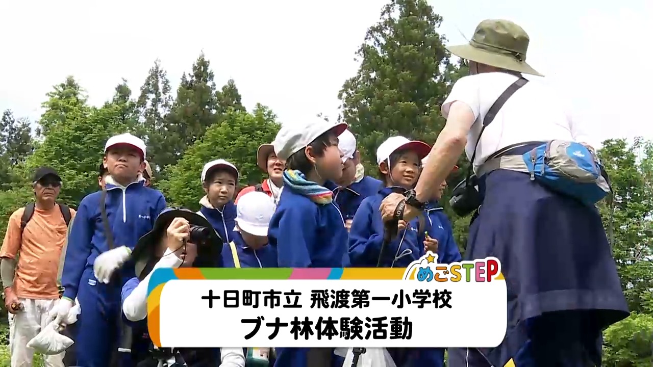 見逃し番組配信 - 十日町タウン情報