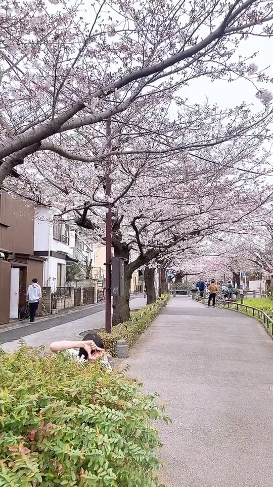 4cee6522-a128-41c4-9eff-0051fc5f881b-1742023102981