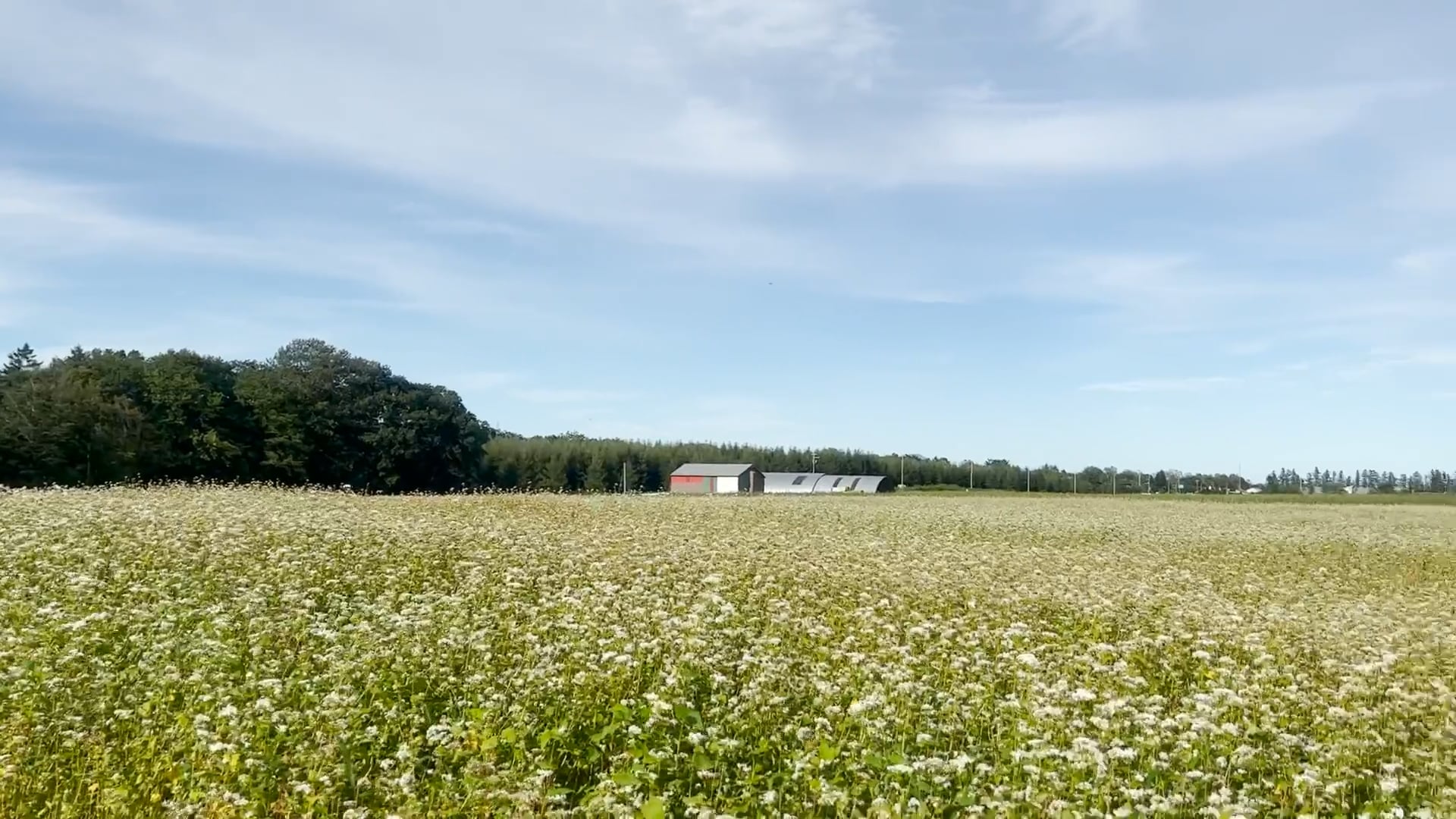 帯広ガストロノミーMaking Movie