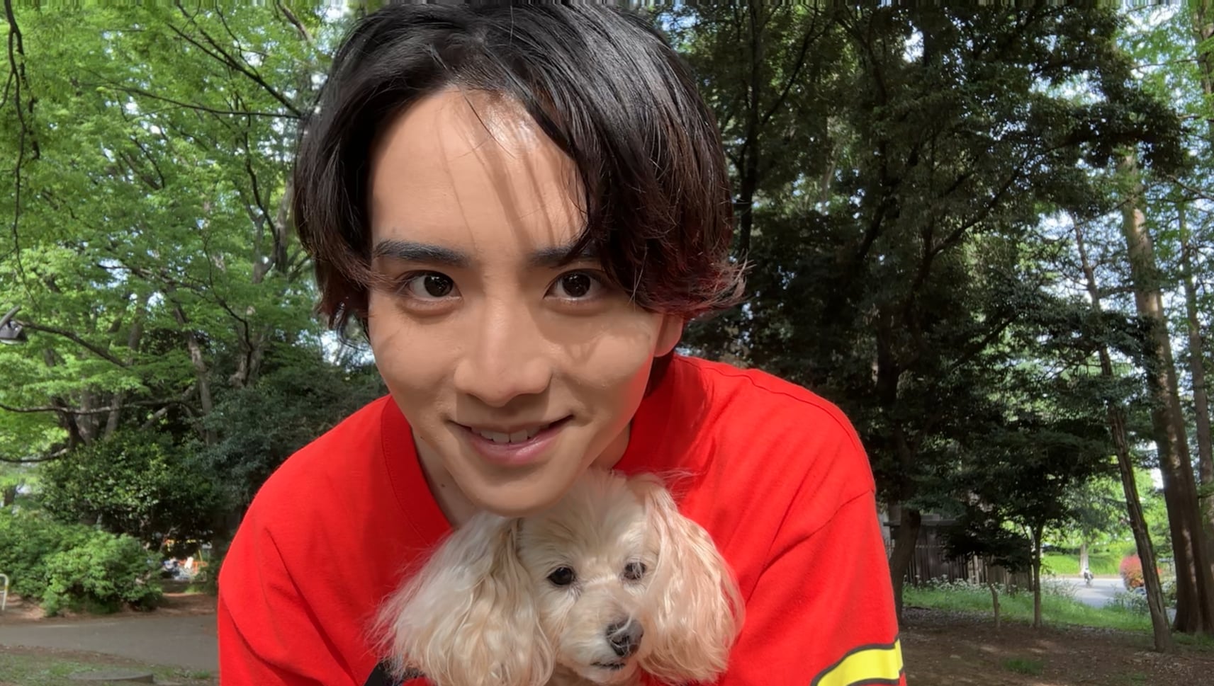 八犬伝 板垣李光人 犬坂毛野 グッズ 13648643?w=200