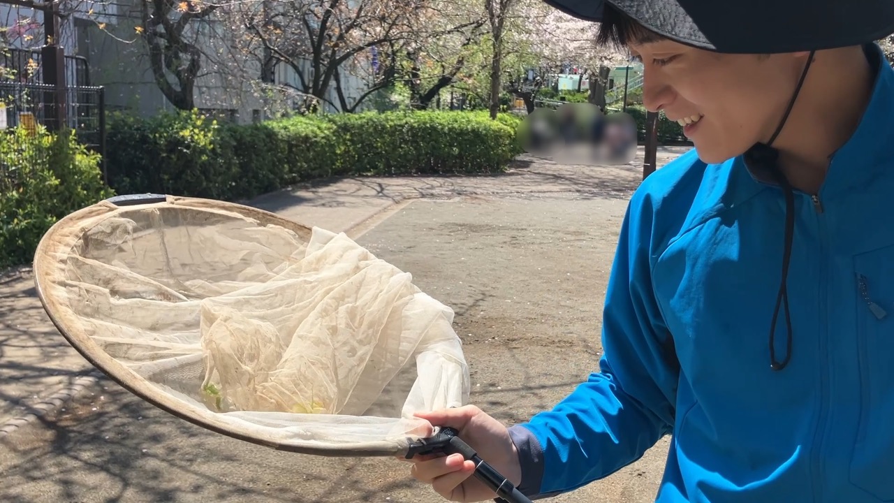 【牧田習の昆虫部屋】春の虫採り2026🐞