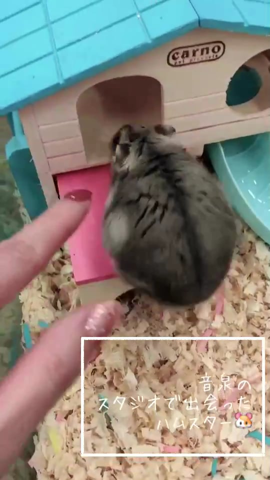 55ce9e0c-ea58-45a5-8c6e-59b058d9f171-1762841730781