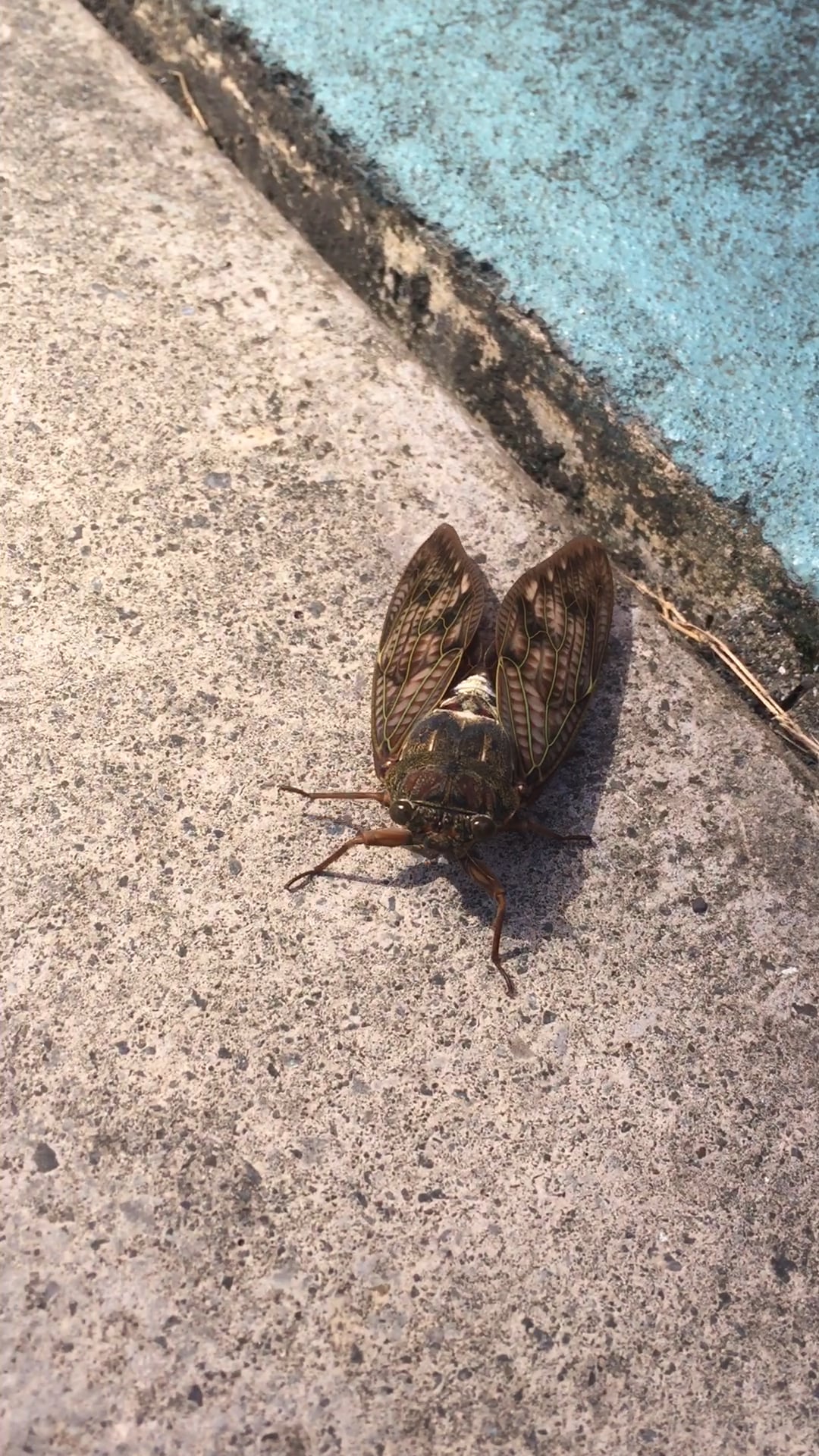 79424905-43ec-480d-a17a-5060997b109b-1762841722206