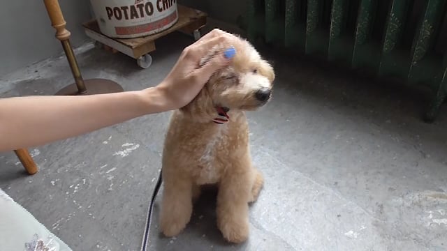 9424b954-c41c-4e2a-802f-7dc7a459f344-1761232607173