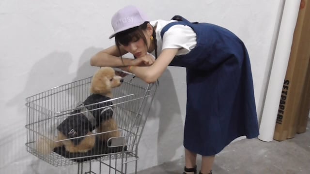 B66cbaaf-6058-4b2e-9160-83907890a5a2-1761232608064