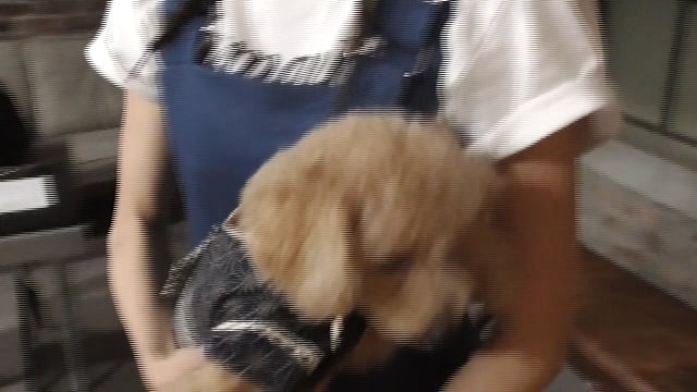 F3de1767-aacc-493d-afdb-7b8ddc192cee-1761232608040