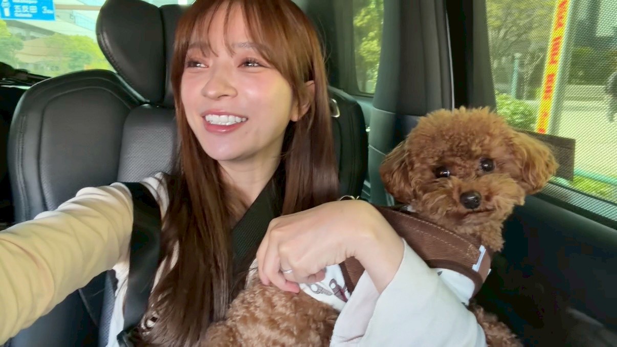 移動中、パンチ君に裏事情を聞いてみたww