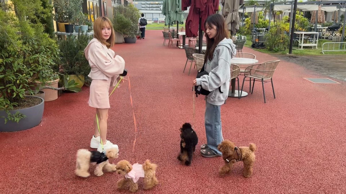 お散歩中ほぼ話してないけど犬がずっと可愛い動画www